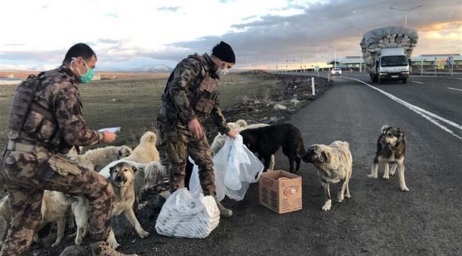 Polisler, yiyeceklerinden sokak köpeklerine verdi