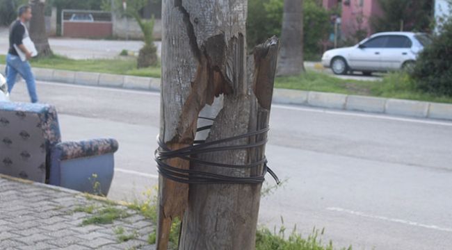 Rüzgarda iki parça olan ahşap telefon direğini kabloyla sabitlediler