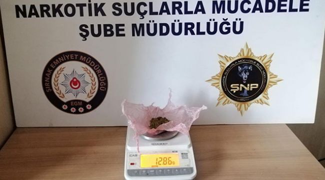 Şırnak'ta kaçakçılık ve uyuşturucu operasyonu: 10 gözaltı