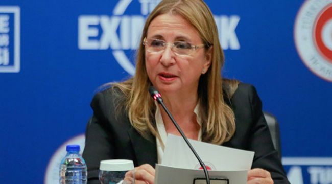 Türk şoförlerle ilgili önemli karar