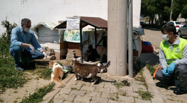 2 BİN 100 KİLOGRAM MAMA DESTEĞİ