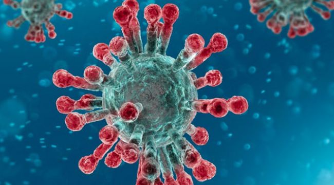 ABD'de korona virüsten ölenlerin sayısı 92 bine yaklaştı