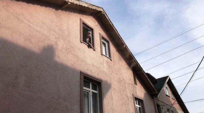Alevler kısa sürede her yeri sardı