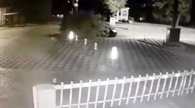 Alkollü halde çarptığı ağaçla 3 kilometre yol gitti