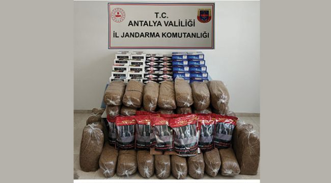 Antalya&#039;da 50 bin kaçak makaron ve 165 kilo tütün ele geçirildi