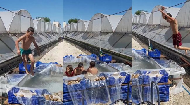 Antalya'da çocukların domates kasasında havuz keyfi