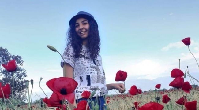 Arazi anlaşmazlığı yüzünden eniştesini ve yeğenini tabanca ile vurdu