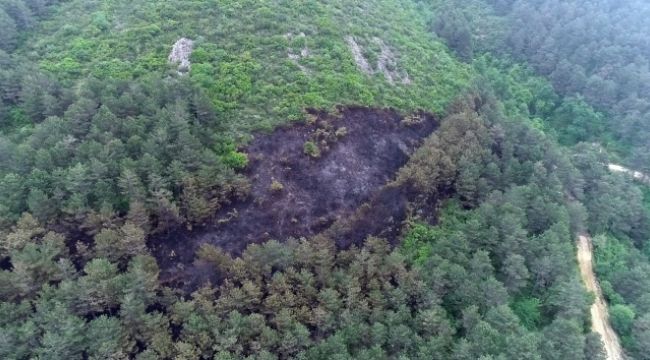 Aydos'ta yanan ormanlık alan havadan görüntülendi