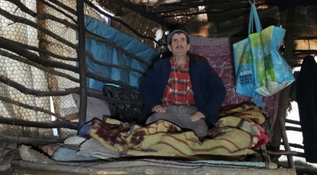Aylardır ormanda mağara gibi barakada yaşıyor