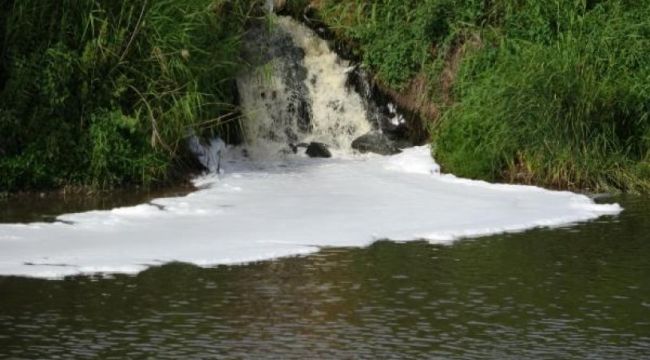Büyük Menderes Nehri'nde endişe veren kirlilik