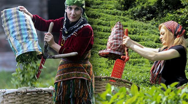 Çay üreticileri 3.40 TL fiyatı olumlu buldu