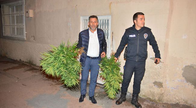Cinayet ihbarı yapılan evden Hint keneviri çıktı