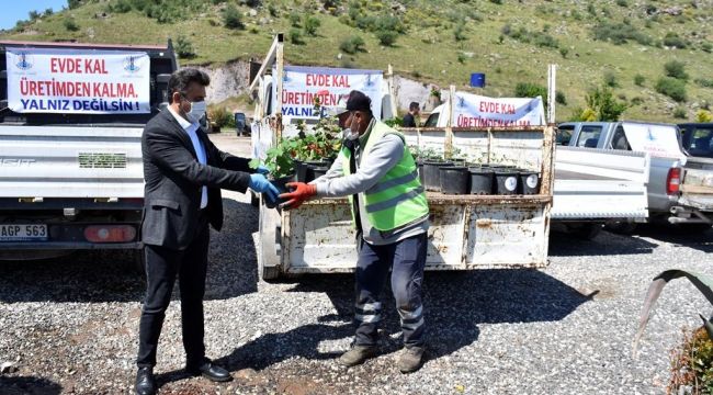 DİKİLİ'DE VATANDAŞA 20 BİN FİDE
