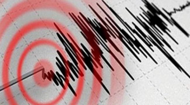 Endonezya'da 7.3 büyüklüğünde deprem