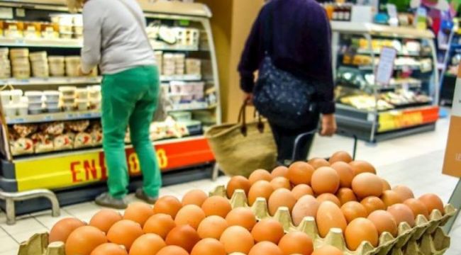 Fransa'da 'salmonella' paniği