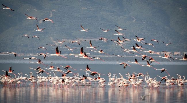 GEDİZ DELTASI'NDA 'DOĞA ROTASI'