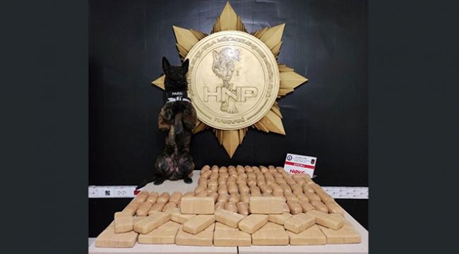 Hakkari'de 62 kilo eroin ele geçirildi