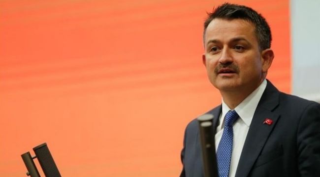 'HAYVANLAR ÜZERİNDEKİ ÇALIŞMALARA BAŞLIYORUZ'