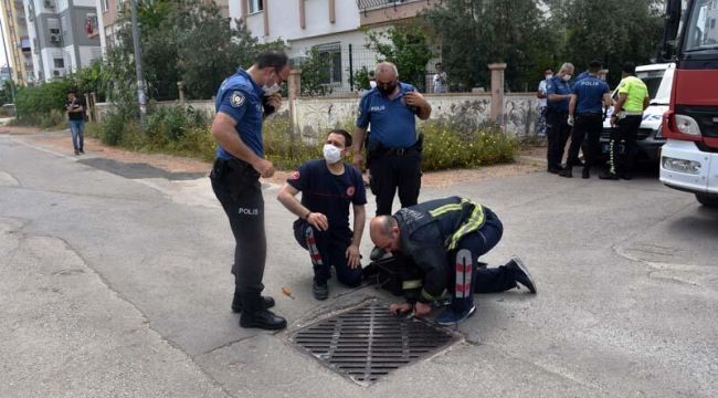 Karantina bölgesine kanalizasyondan girmek isterken mahsur kaldı