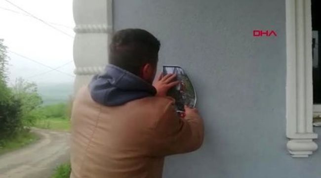 Kaybolan ineği için afiş bastırdı