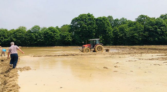 Kaynarca&#039;da ilk kez pirinç ekildi