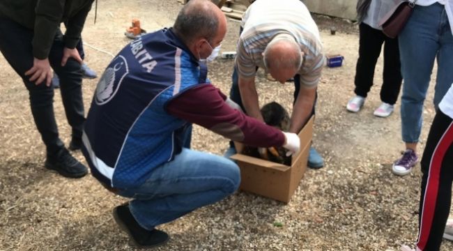 Kırklareli'de duygulandıran görüntü