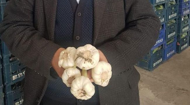 Koronavirüs fiyatı yüzde 50'ye yakın arttı
