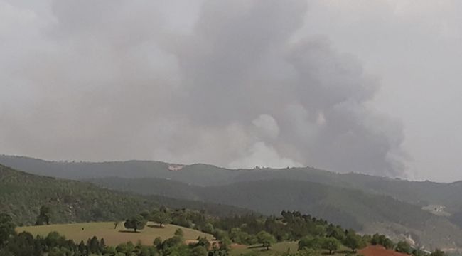 Kütahya'da orman yangını