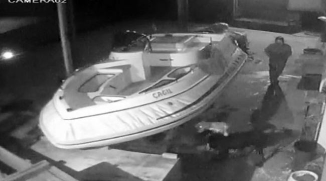 Marmaris'te pitbull dehşeti