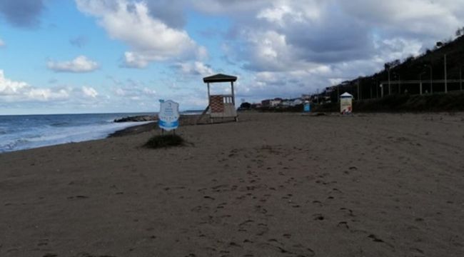 Ordu'da geri dönüşü olmayan zarar