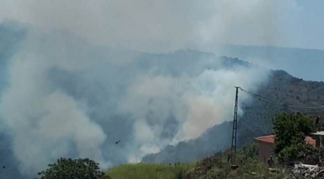 ORMANLIK ALANDA ÇIKAN YANGIN KONTROL ALTINA ALINDI