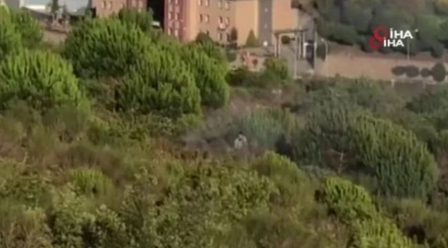 Pendik'te orman yakan teröriste rekor ceza