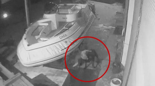 Pitbull&#039;un, bağlı olan &#039;rotweiller&#039;e saldırdı