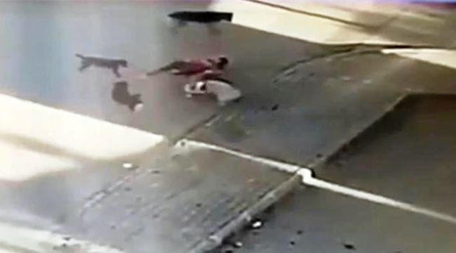 Saldırıya uğrayan köpeğini kurtarmak için köpeklerin arasına böyle daldı