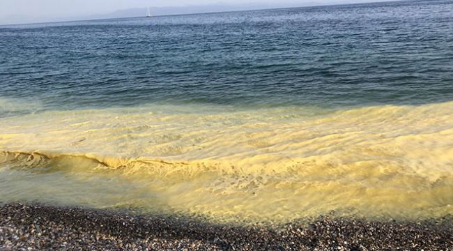 Sarı deniz görenleri şaşkına çevirdİ
