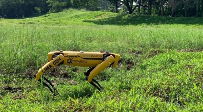 Singapur'dan koronaya karşı 'robot köpek' önlemi