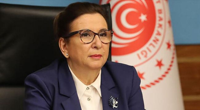 Sınırda bekleyen tır şoförleri ile ilgili açıklama