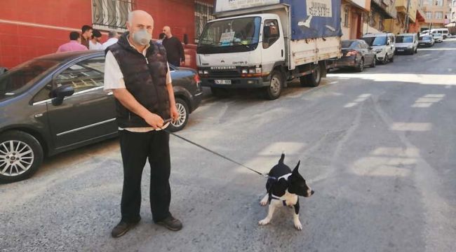 Sultangazi'de köpeğiyle sokağa çıkan kişiye ceza