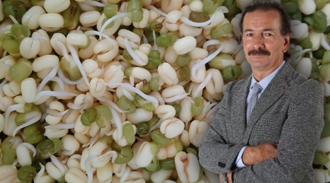 Vitamin deposu, bağışıklık sistemini güçlendiriyor