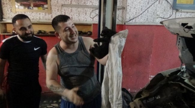Yavru kediyi kurtarmak için aracı parçaladılar