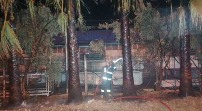 Yüksek gerilim palmiyeleri, palmiyeler de kamyonu yaktı