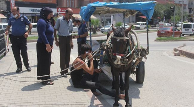 Adana'da firar eden at korkuttu