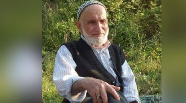 Ağaçtan düşen yaşlı adam öldü