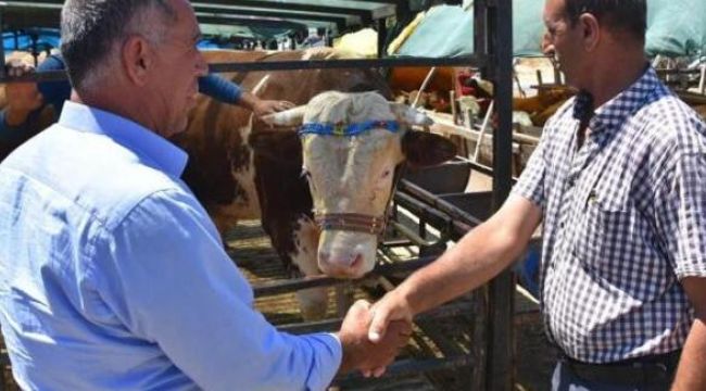 Artık hayvan alım satımında el sıkışmak yasak !