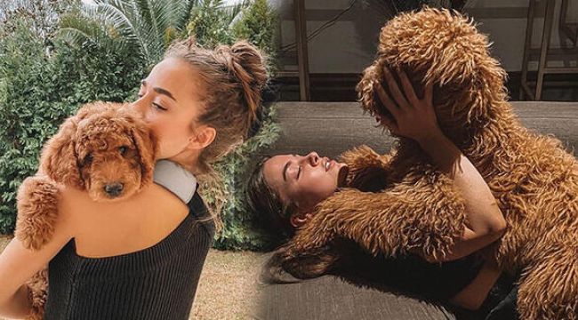 Bensu Soral'ın köpek sevgisi