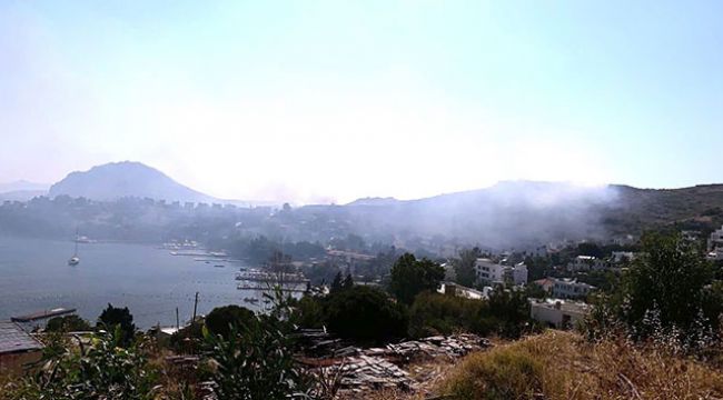 Bodrum'da tatilcileri korkutan yangın !