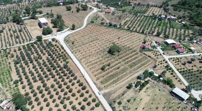 BUCA’NIN TARLALARINDAN BEREKET FIŞKIRIYOR