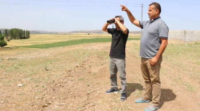 Çorum'da jandarmaya 'aslan' ihbarı yağıyor