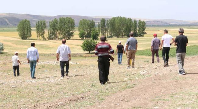Çorum'da köylüler aslan arıyor