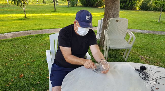 GEYİK BÖCEĞİ BU KEZ İZMİR'DE GÖRÜLDÜ